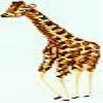 JKM Large Giraffe Facing Left Applique (Stick On)
