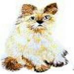JKM Large Cat Sitting Applique (Iron On)