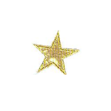 JKM Gold Star with Metallic Middle Applique Iron On