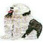 JKM Dog Sitting Applique (Stick On)