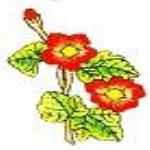 JKM Red/Yellow Flower Applique (Stick On)
