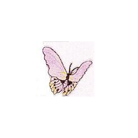 JKM Lavender Butterfly Applique Stick On