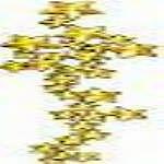JKM Gold Star Cluster Applique (Stick On)