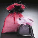 JKM Sheer Bag with Feather Trim
