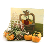 JKM Sinamay Large Hole Net Bags