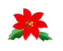 JKM Poinsettia Applique (Stick On)