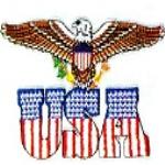JKM Eagle with Flag USA Letters Applique (Stick On)