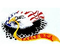 JKM Eagle with Eagle USA Ribbon Applique (Iron On)